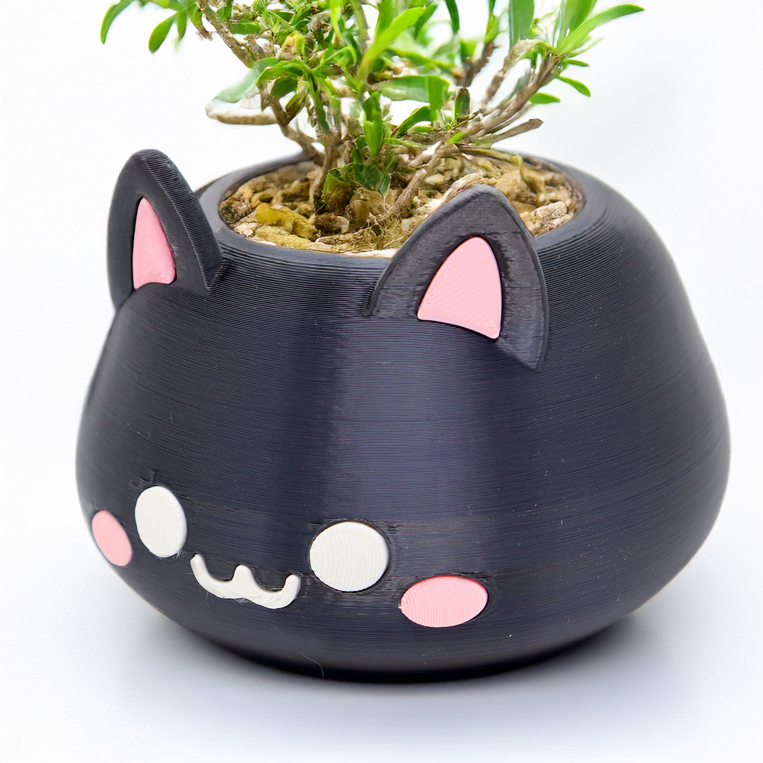 Mini vaso (gato) para suculenta