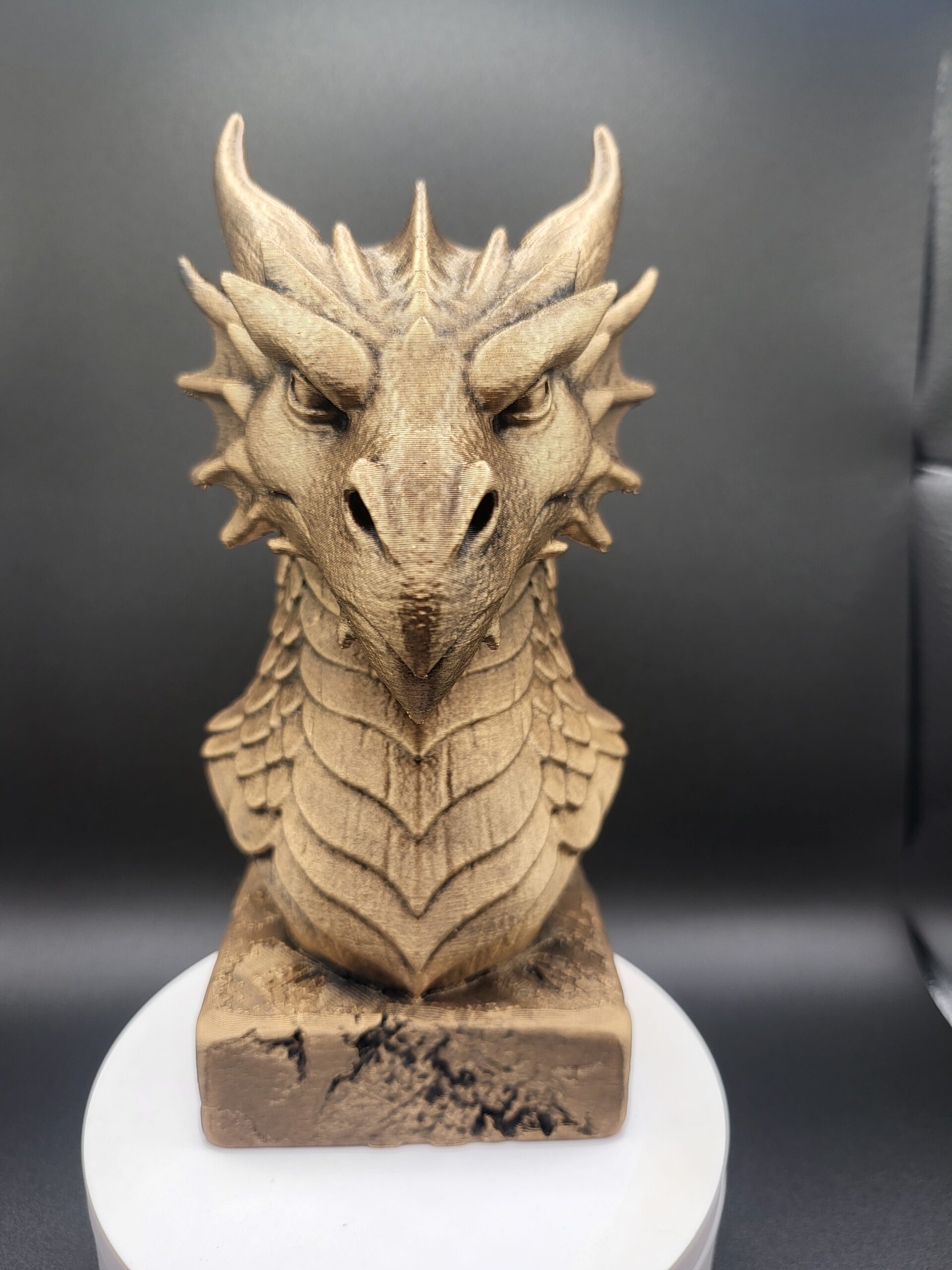 DRAGON BUST