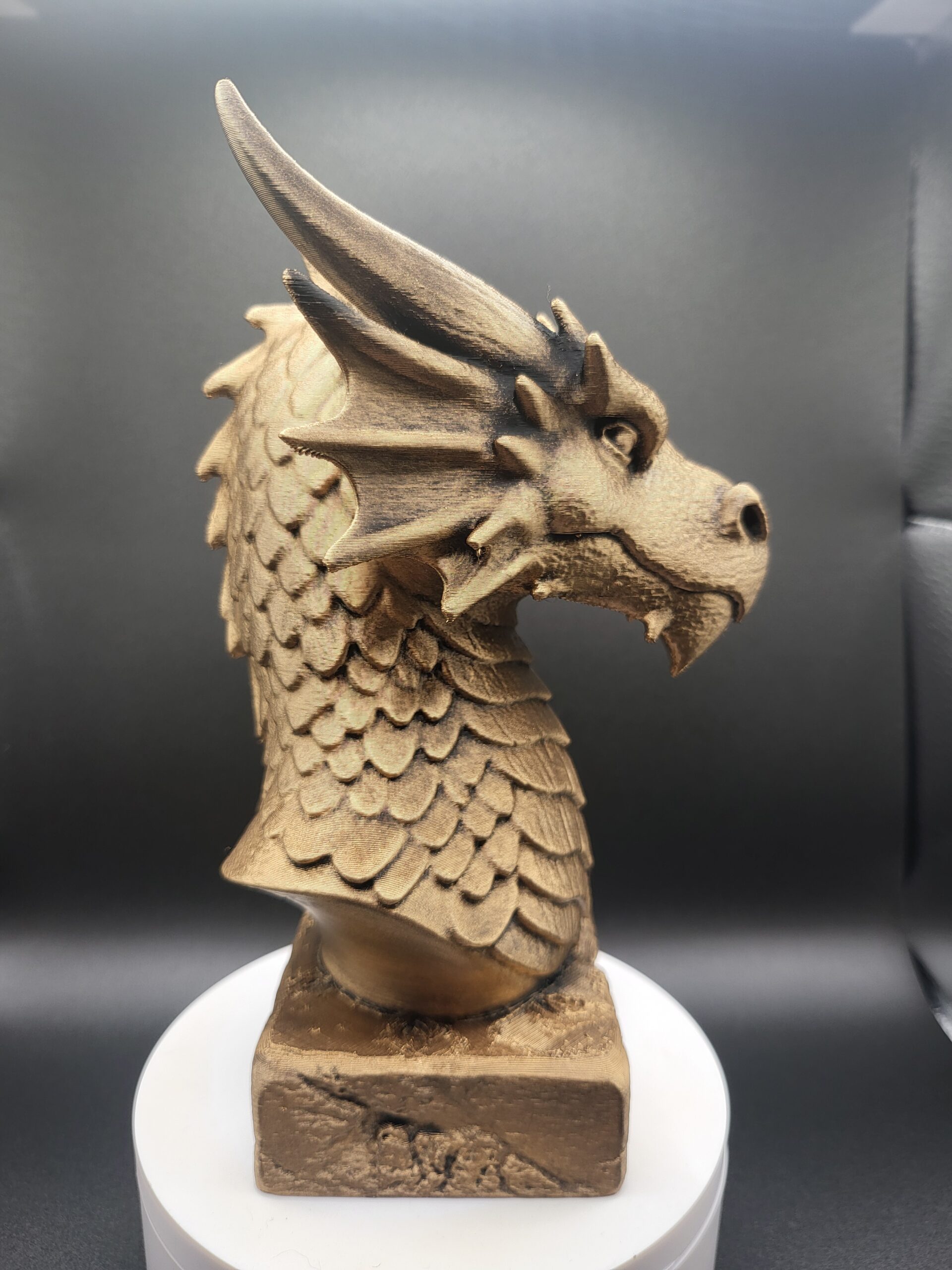 DRAGON BUST - Image 3