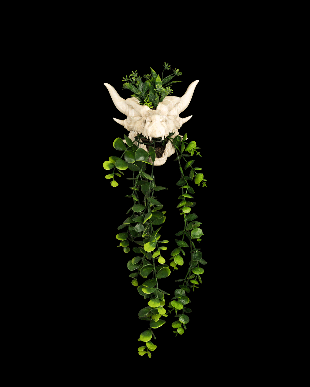 Drip & Decay - Planter - Image 5