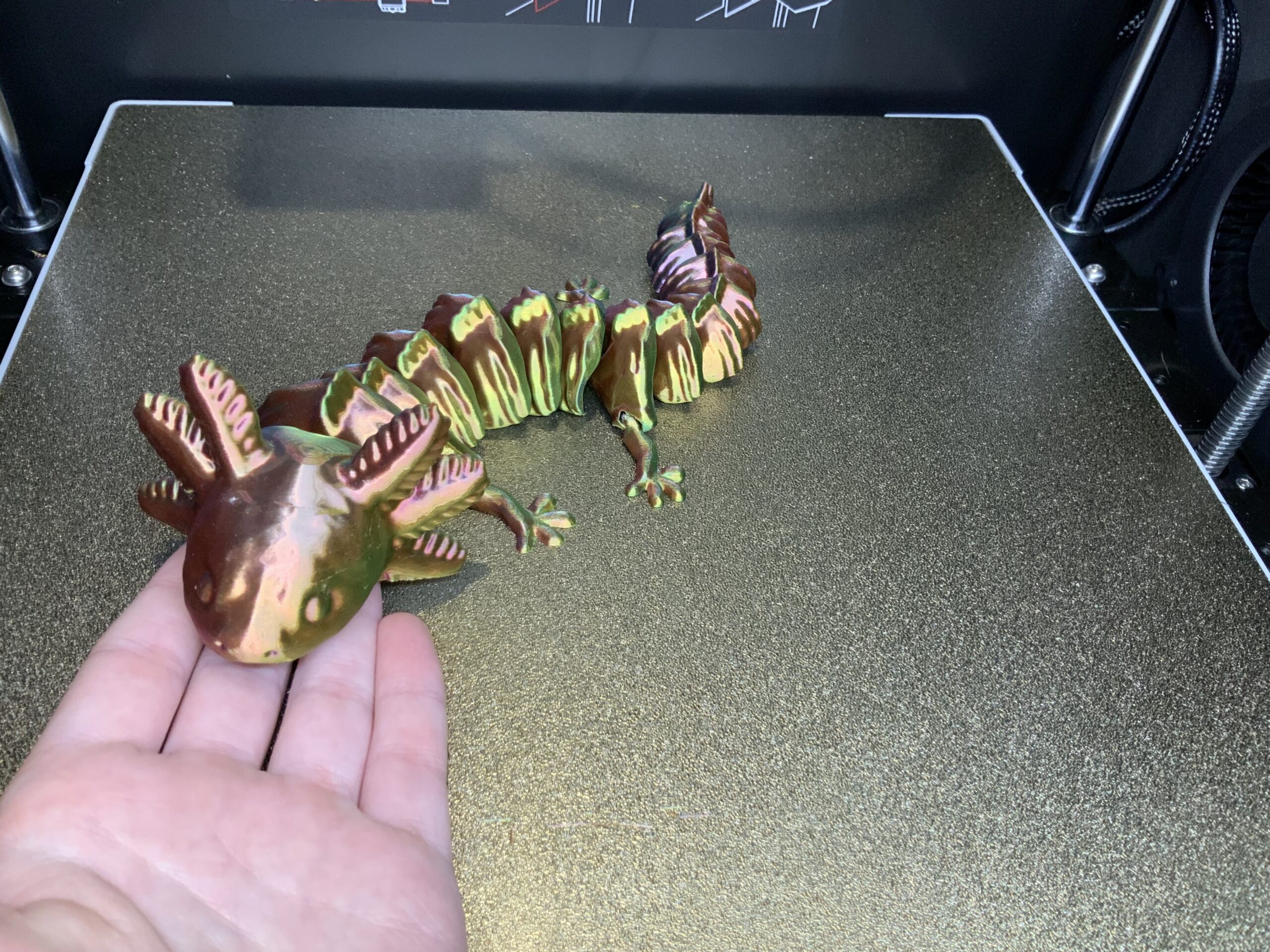 Flexy Axolotl - Image 2