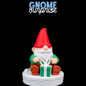 Gnome Surprise