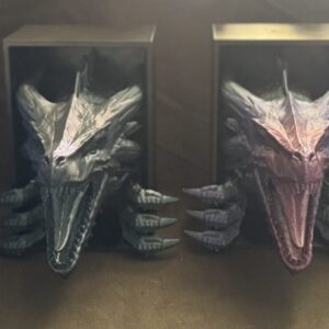 Dragon Awakening Book Nook