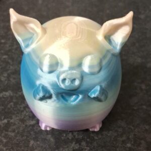 Cute Pig
