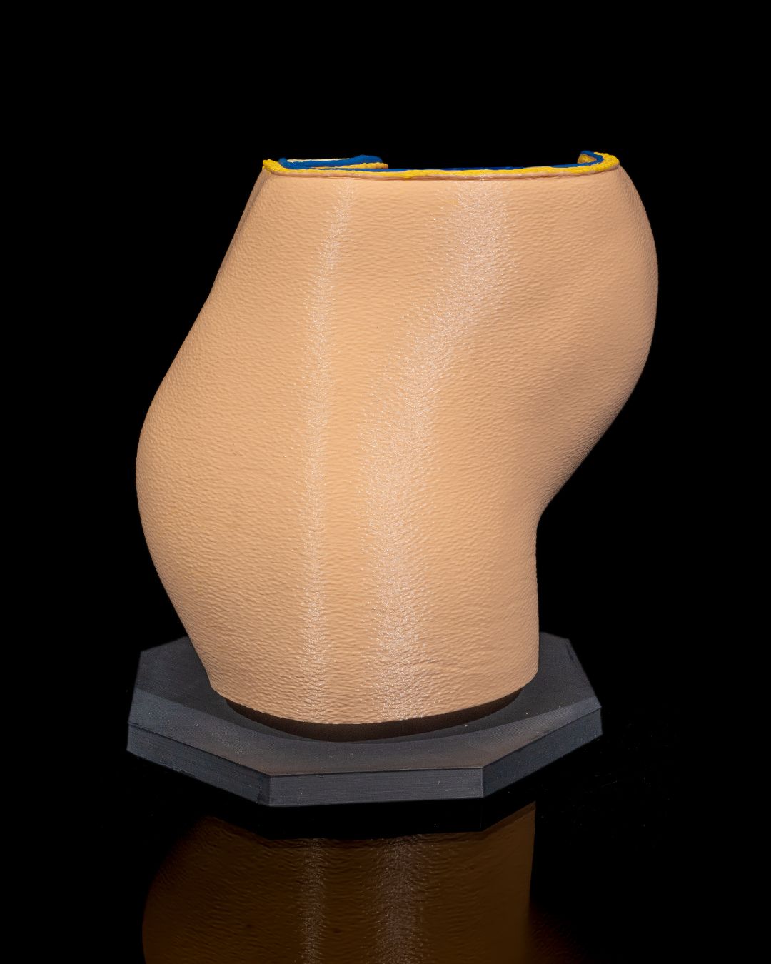 Female Reproductive System - Image 4