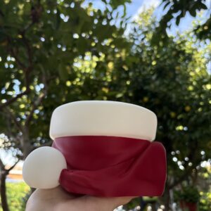 Santa Hat bowl