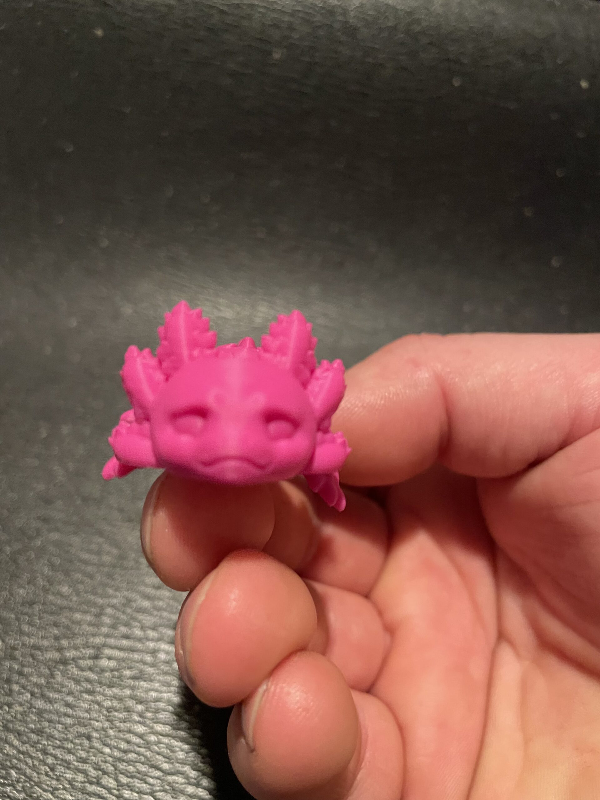 Axolotl - Image 2