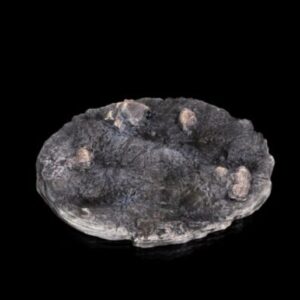 ***************Collection 2 uniquement sur commande**********************