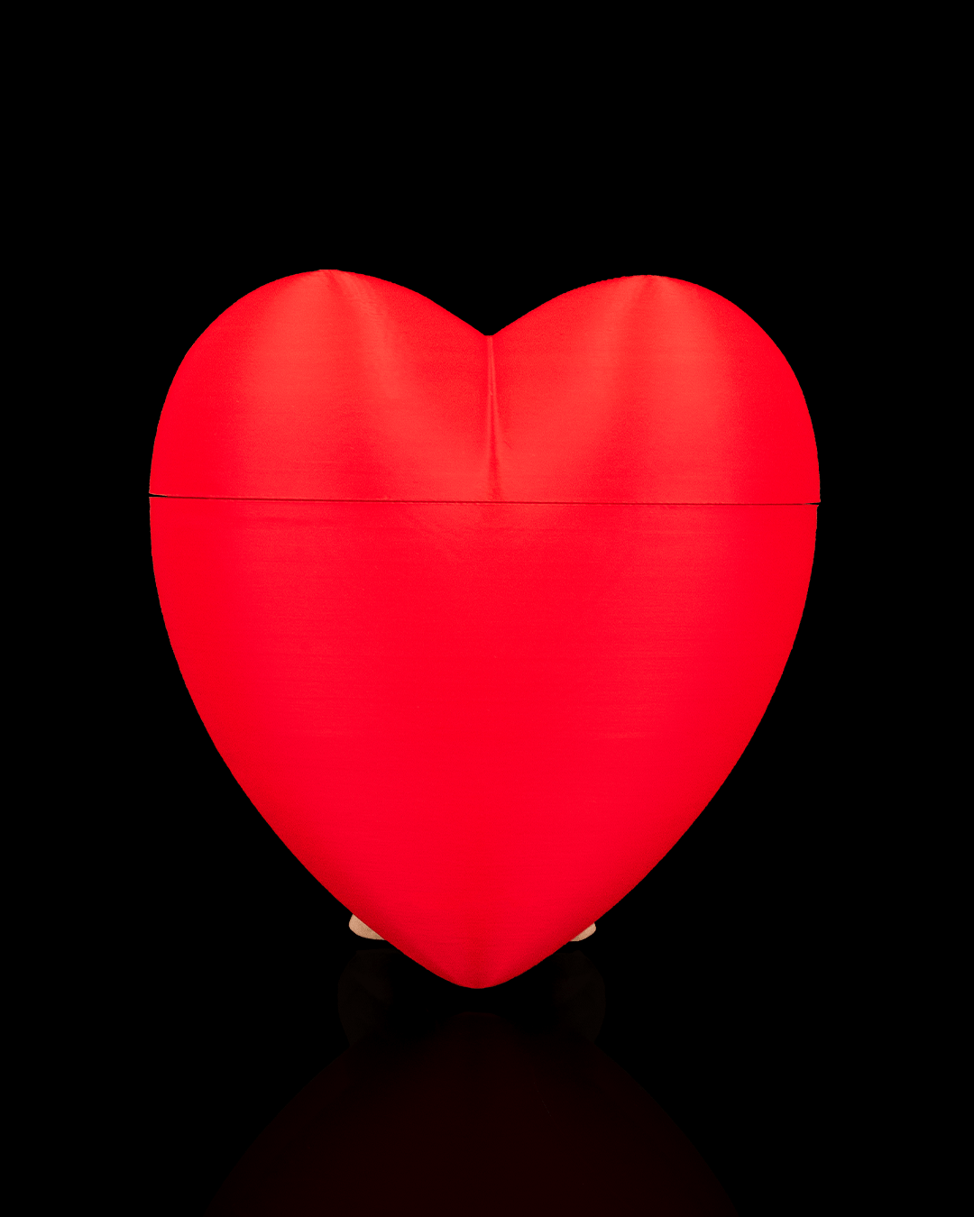 Heart Carrier - Container - Image 6