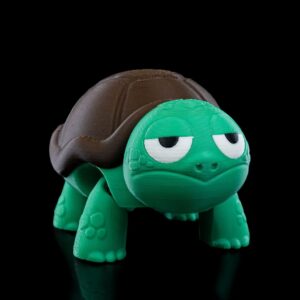 (Not) Surprised Turtle