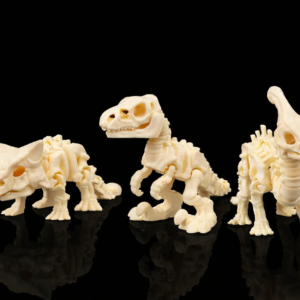 Dino Fossil 3 pack