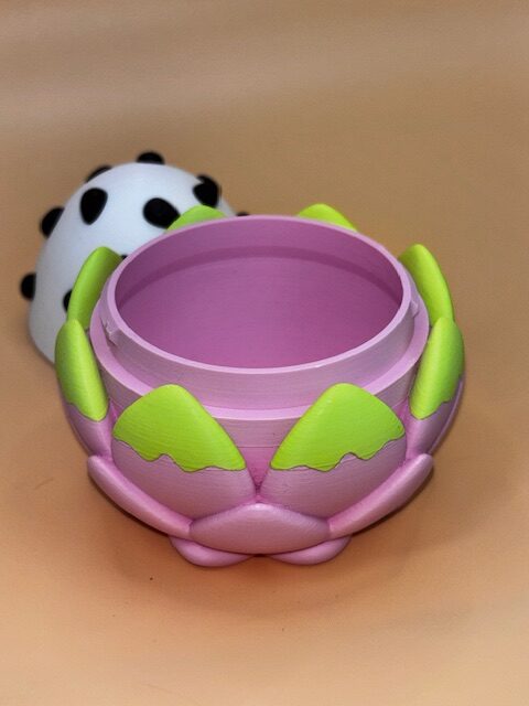 Dragon Fruit Dragon with egg - Image 18