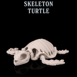 Skeleton Turtle