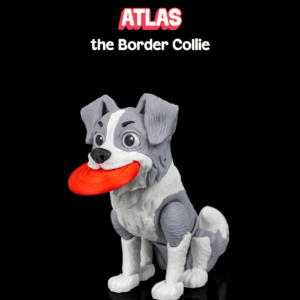 Atlas, the Border Collie
