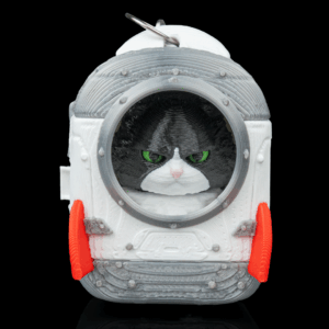 Launch Pack - Maine Coon