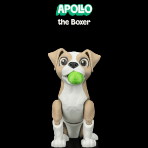 Apollo, the Boxer