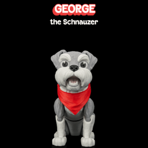 George, the Schnauzer