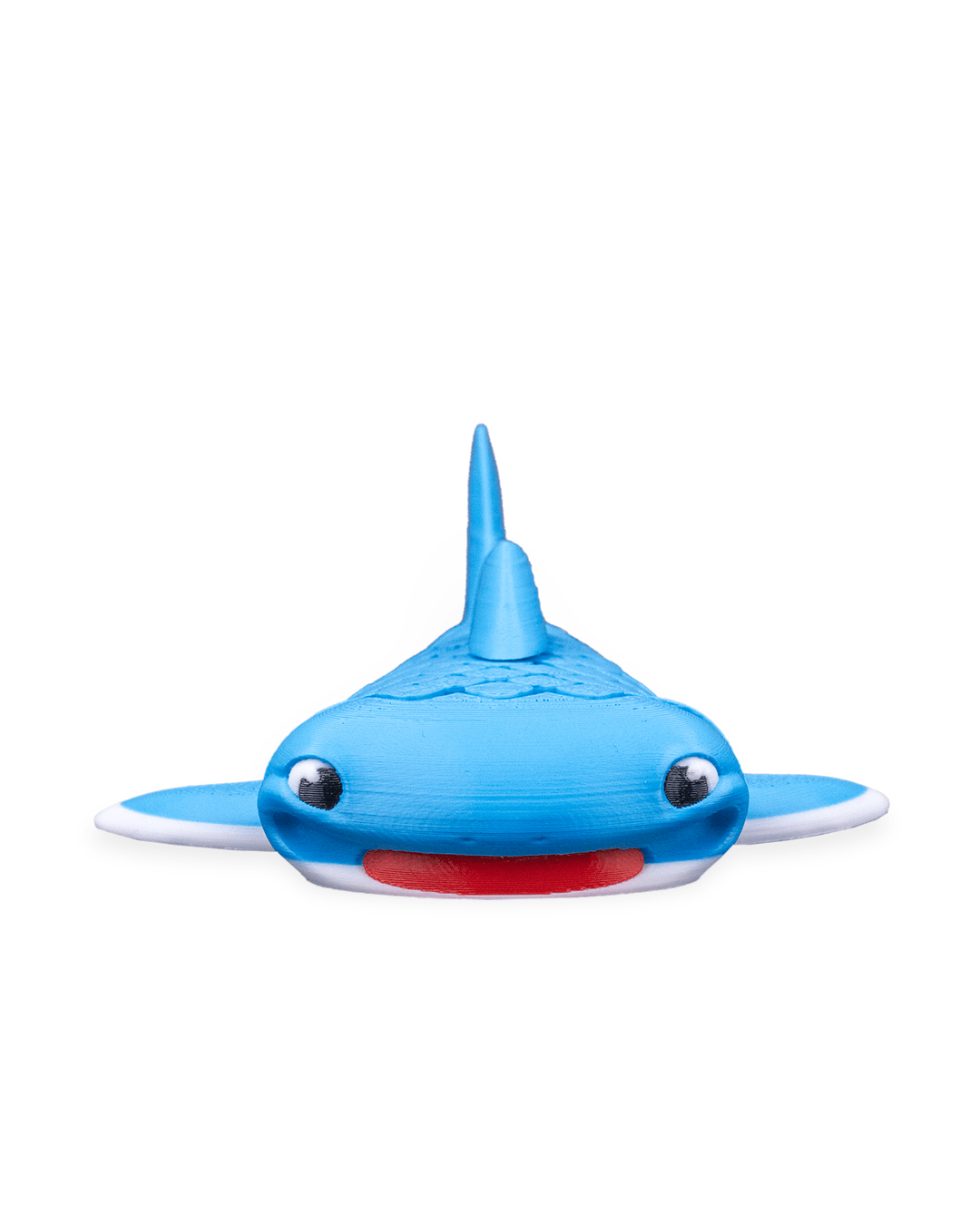 Mark, the Whale Shark - Image 3
