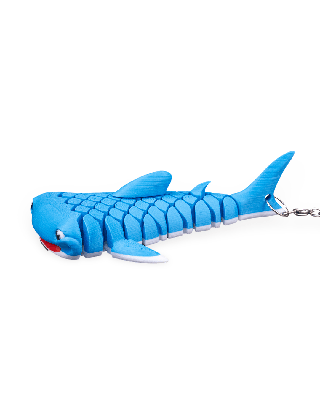 Mark, the Whale Shark - Image 5