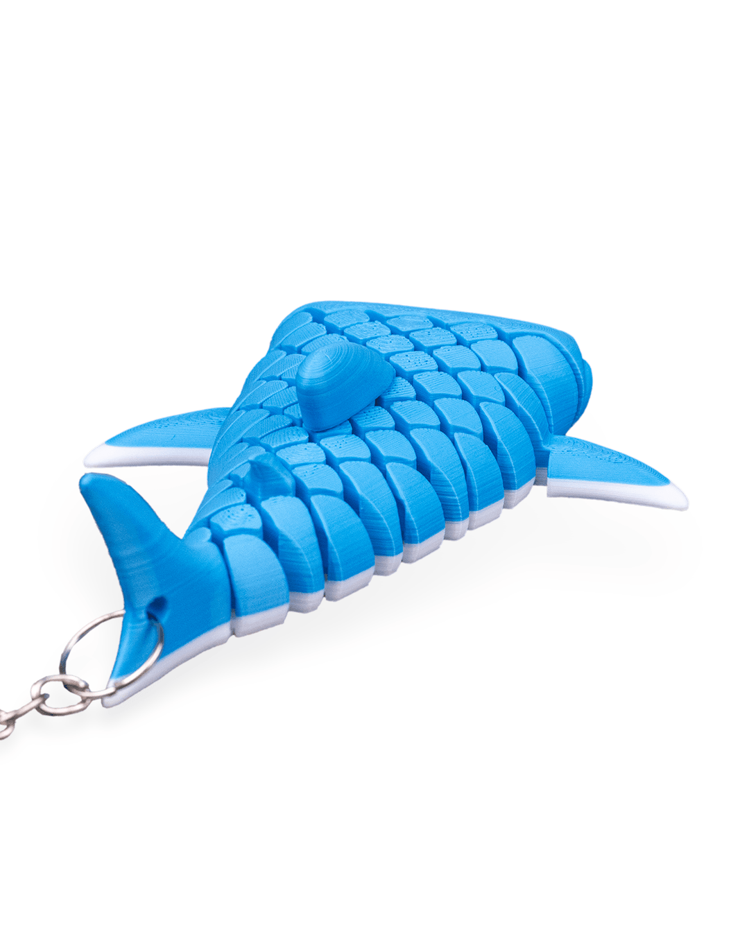Mark, the Whale Shark - Image 6