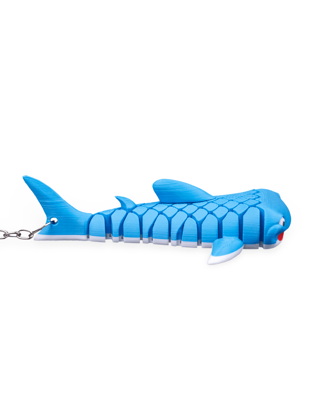 Mark, the Whale Shark - Image 4