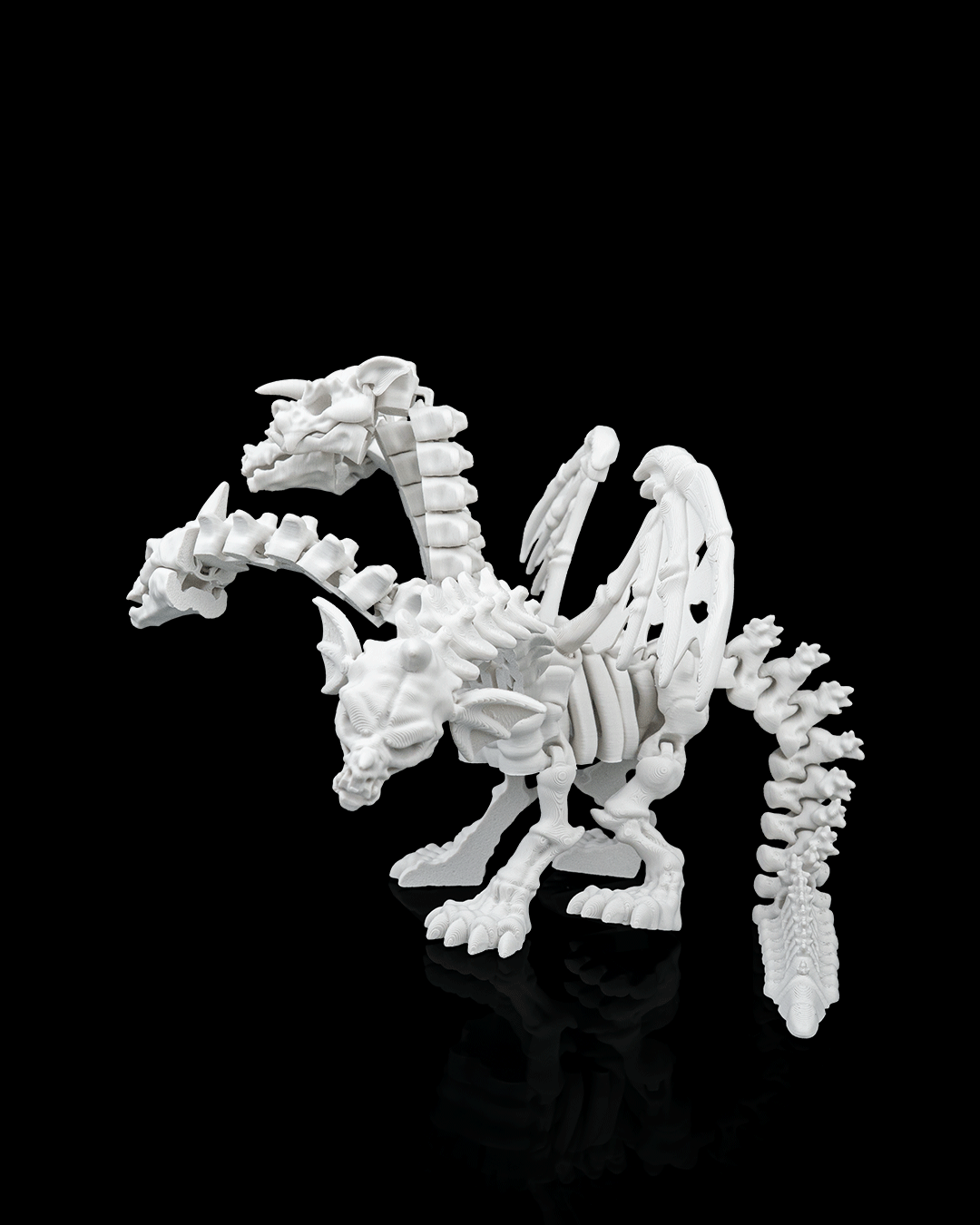 Pentadragon Skeleton - Image 4