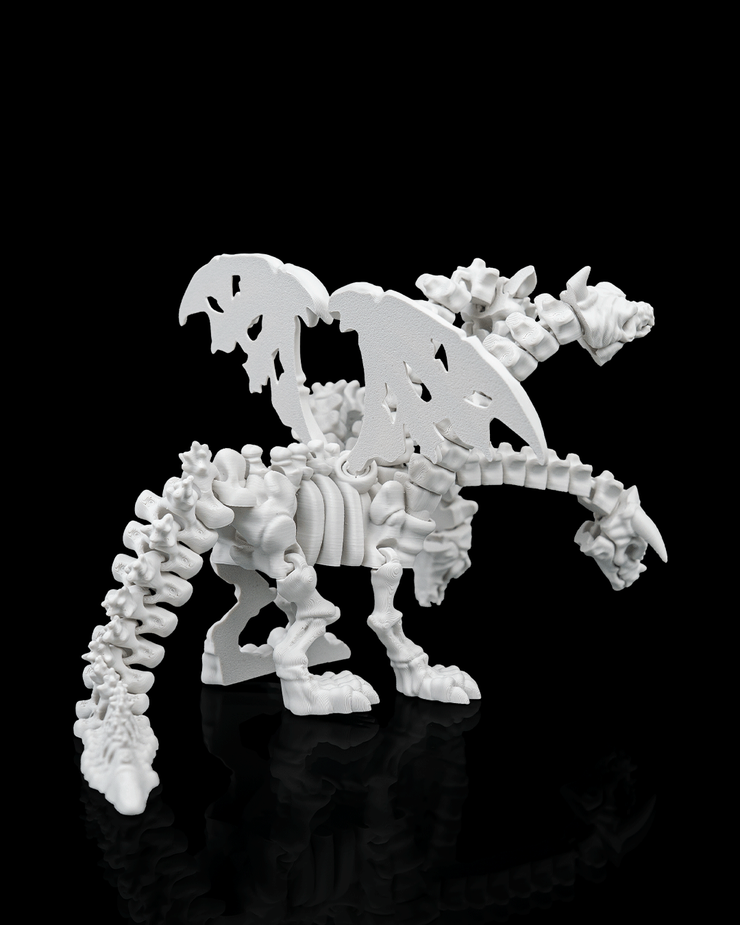 Pentadragon Skeleton - Image 2