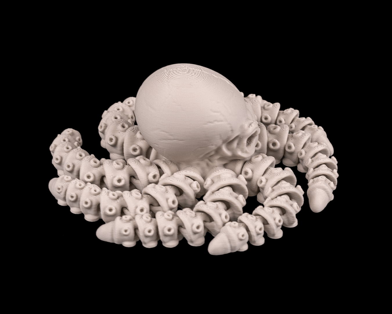 Polvo Esqueleto - Image 2