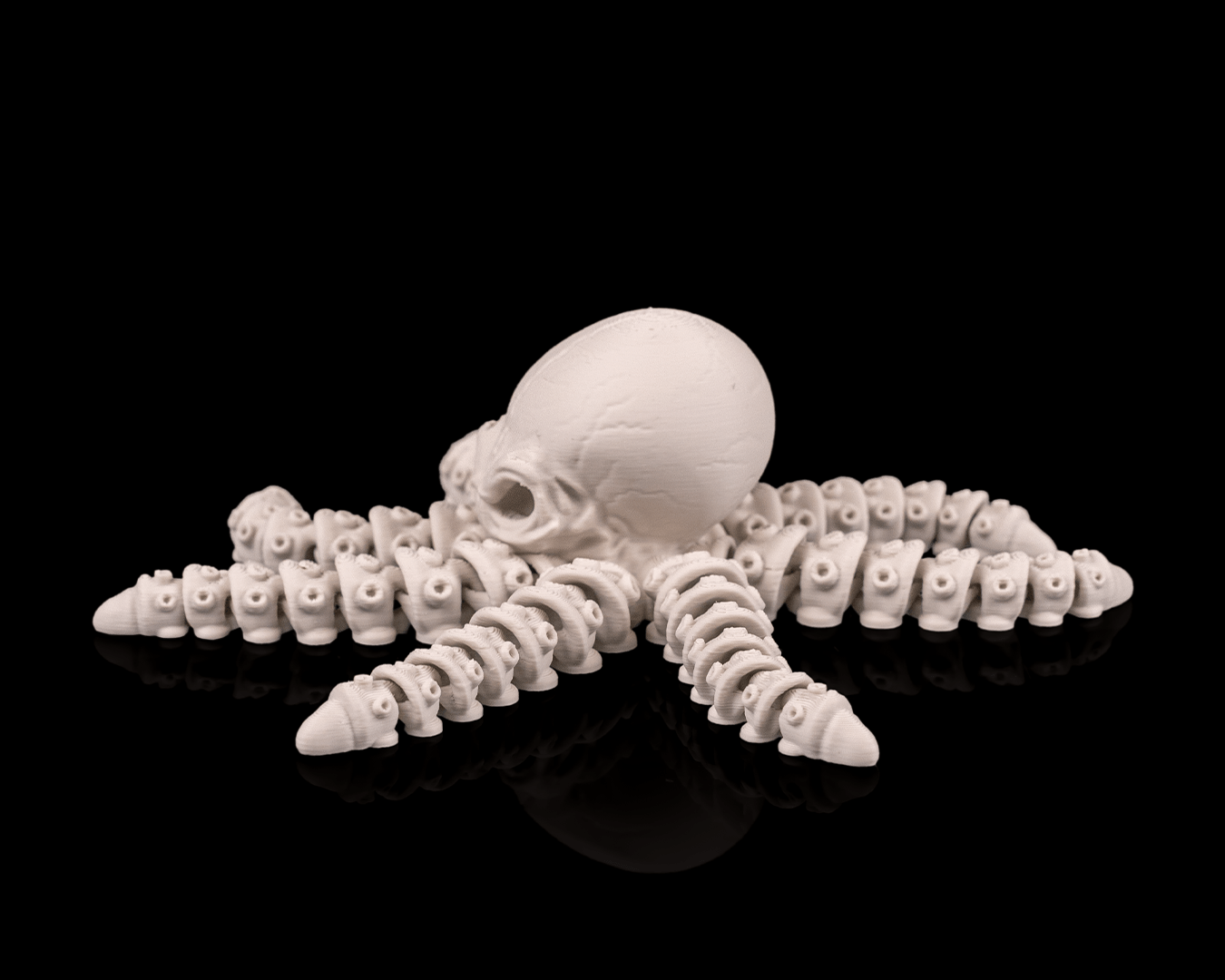 Polvo Esqueleto - Image 3