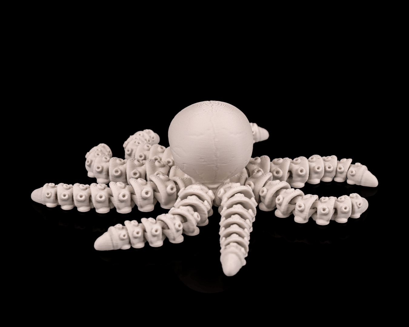 Polvo Esqueleto - Image 4