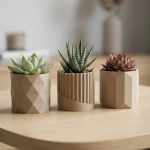 Vaso de Plantas