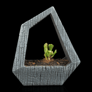 Obsidian Frame - Self-Watering Planter