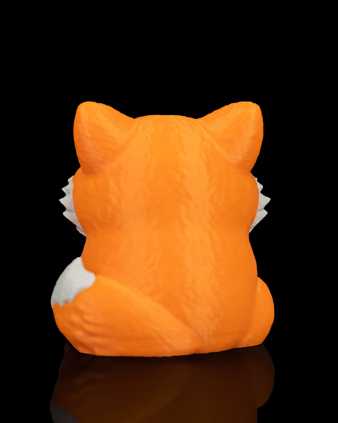 Smooth Fox - Image 11