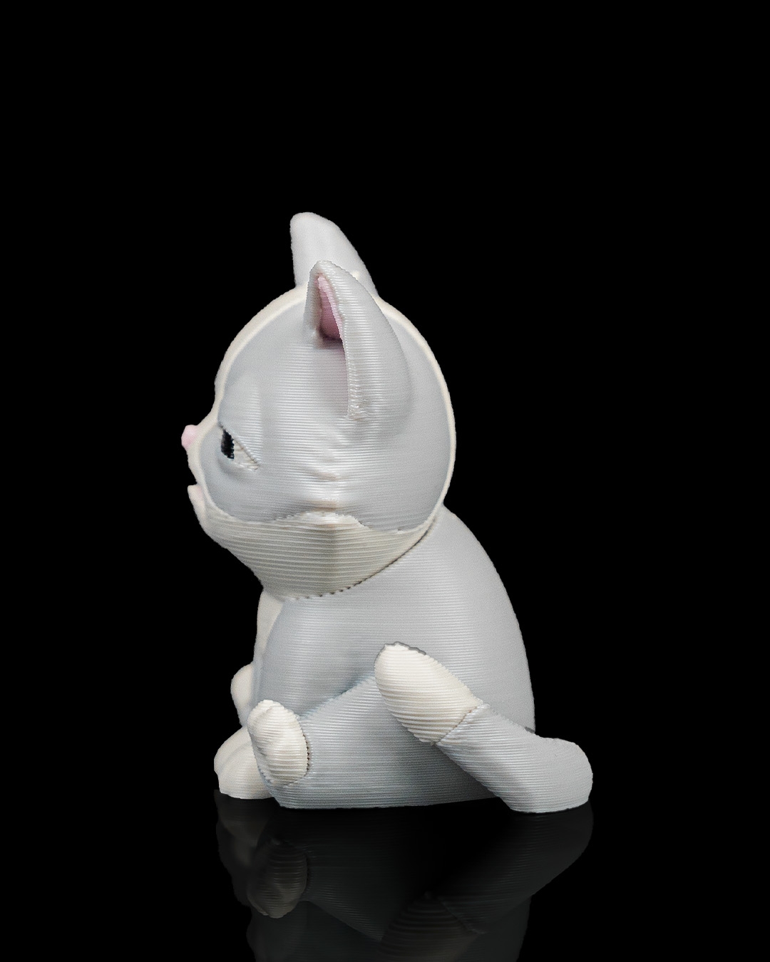 Fine Cat - Image 12