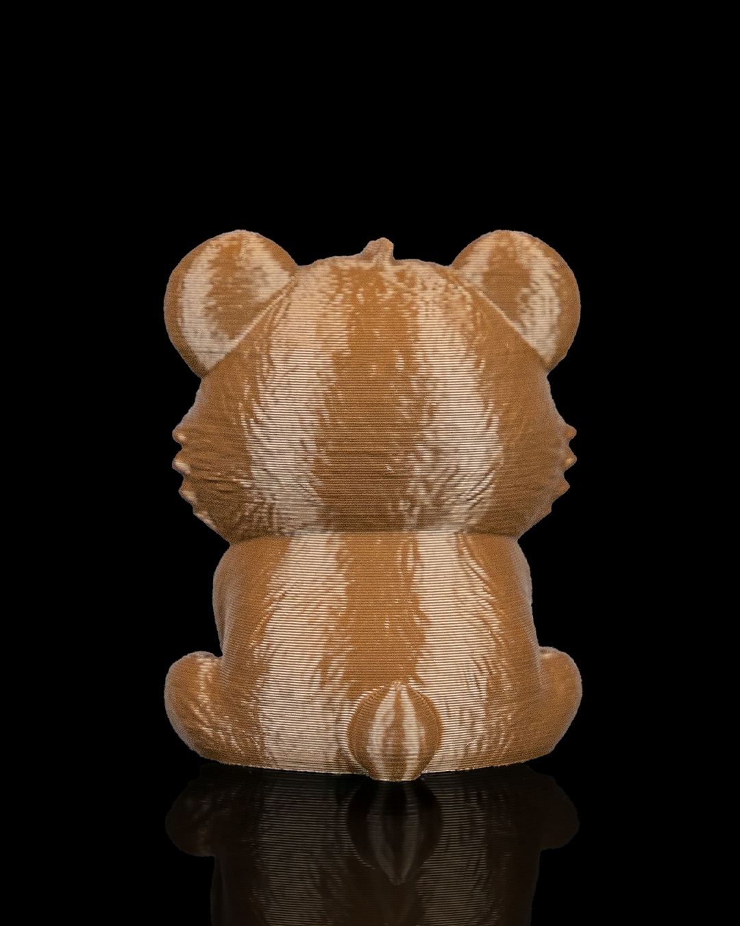 Steady Bear - Image 11