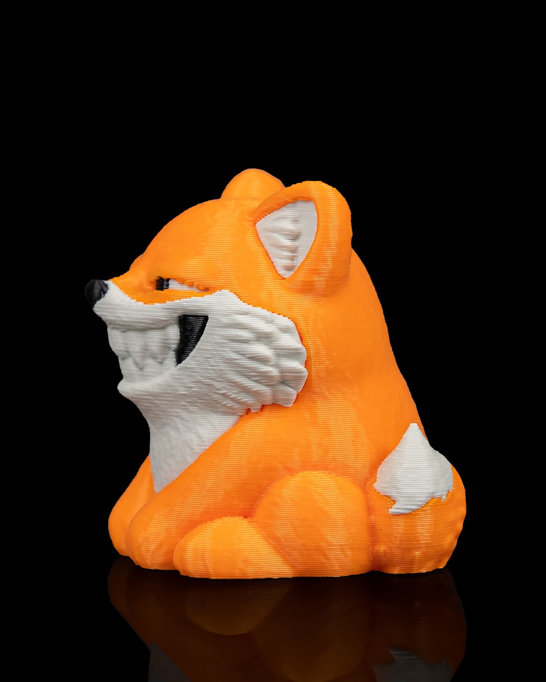 Smooth Fox - Image 12