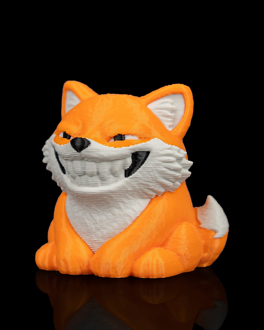 Smooth Fox - Image 13