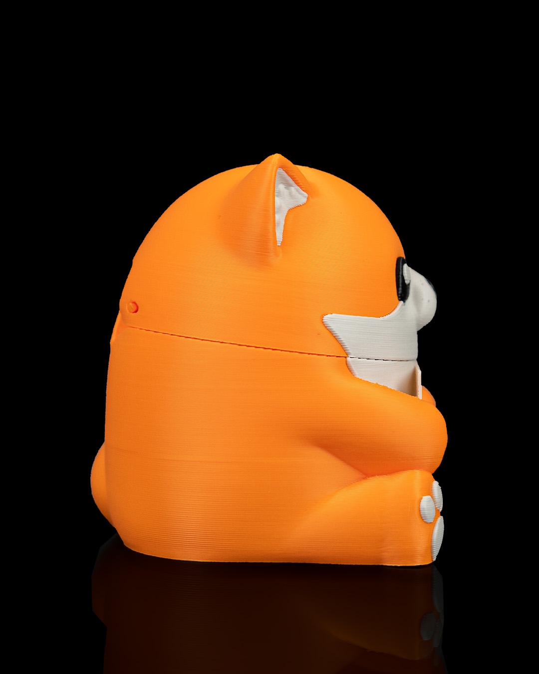 Smooth Fox - Image 7