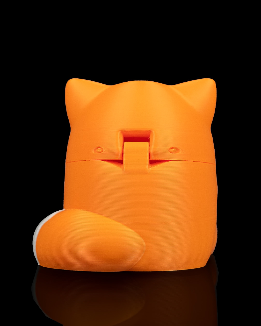 Smooth Fox - Image 8