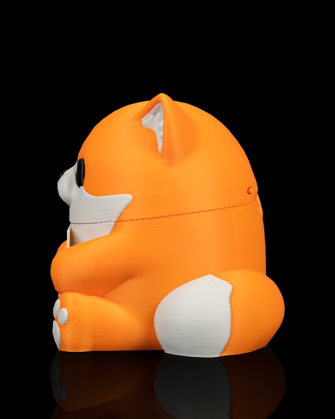 Smooth Fox - Image 9