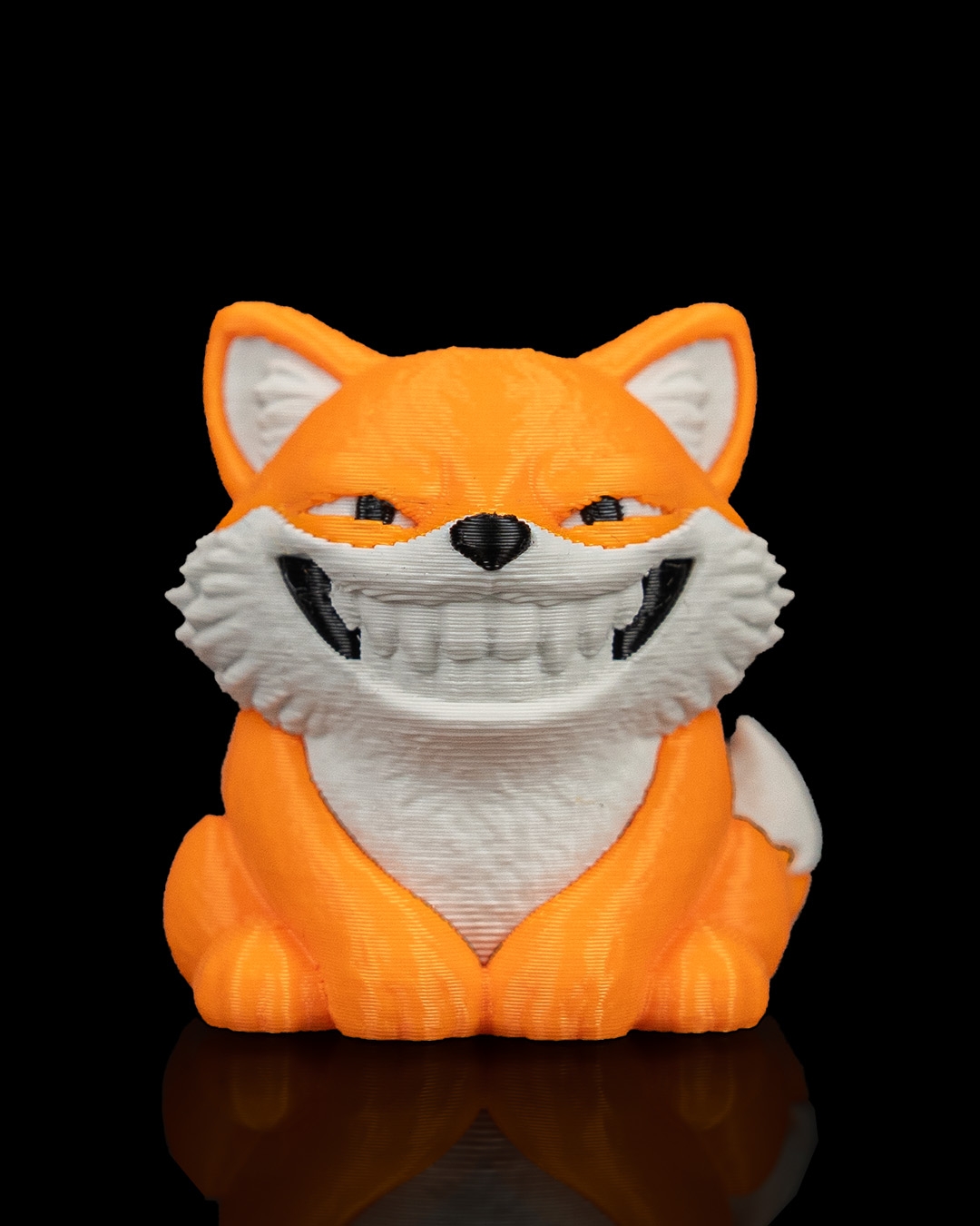 Smooth Fox - Image 10