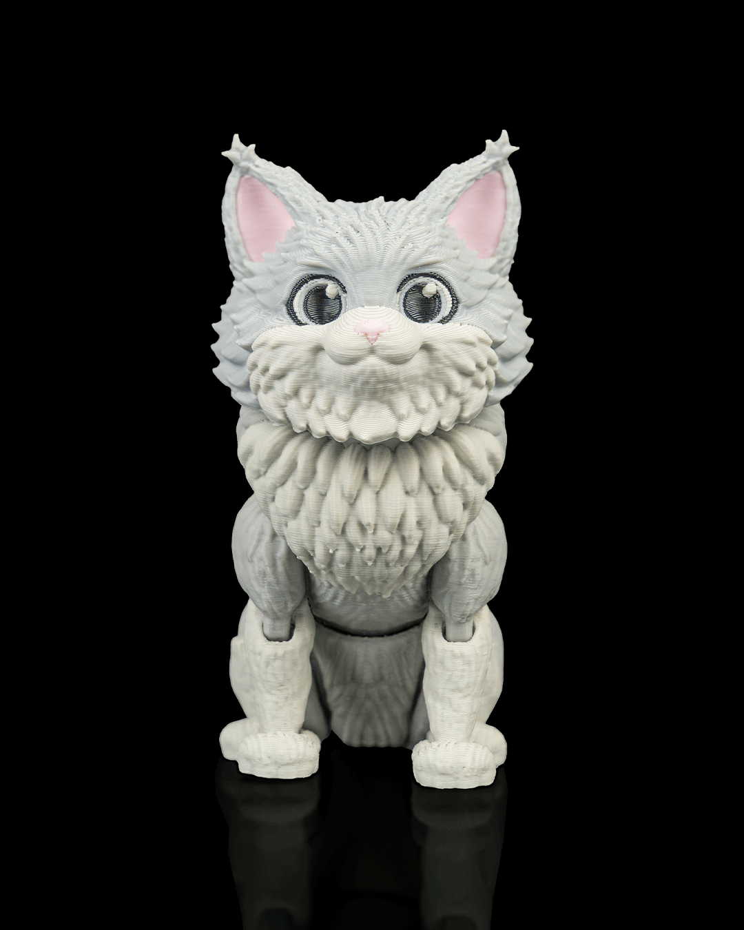 Chester, the Maine Coon - Image 2