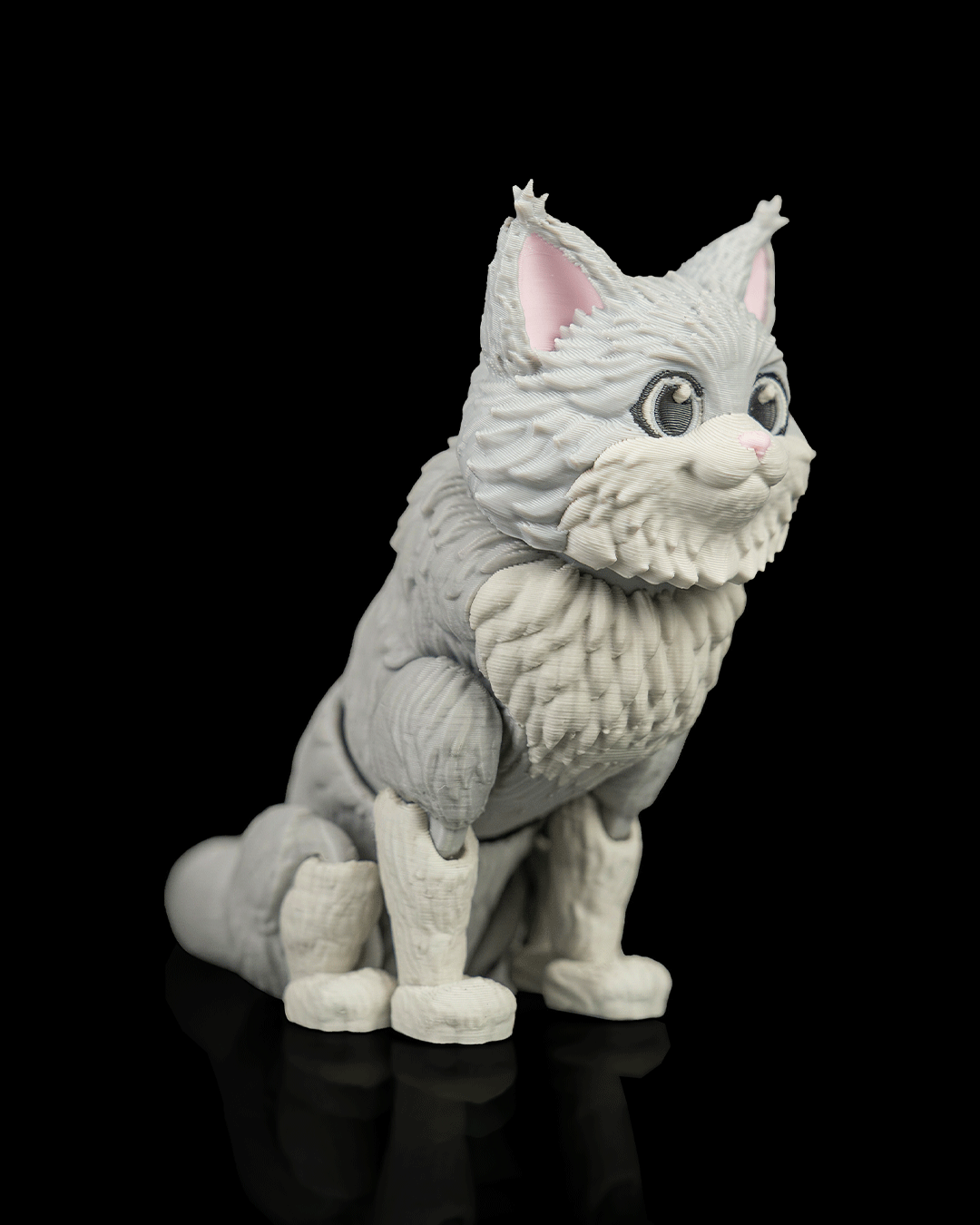 Chester, the Maine Coon - Image 3