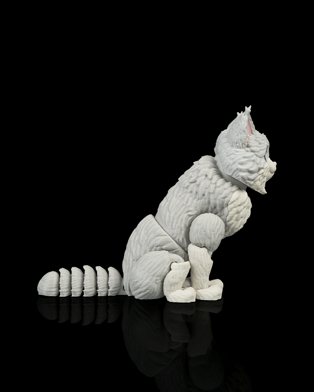 Chester, the Maine Coon - Image 4