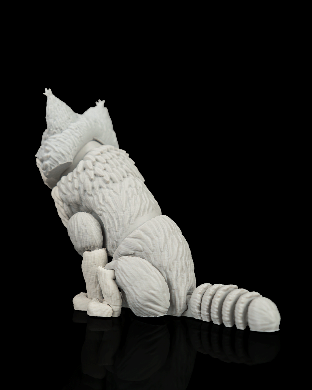 Chester, the Maine Coon - Image 5
