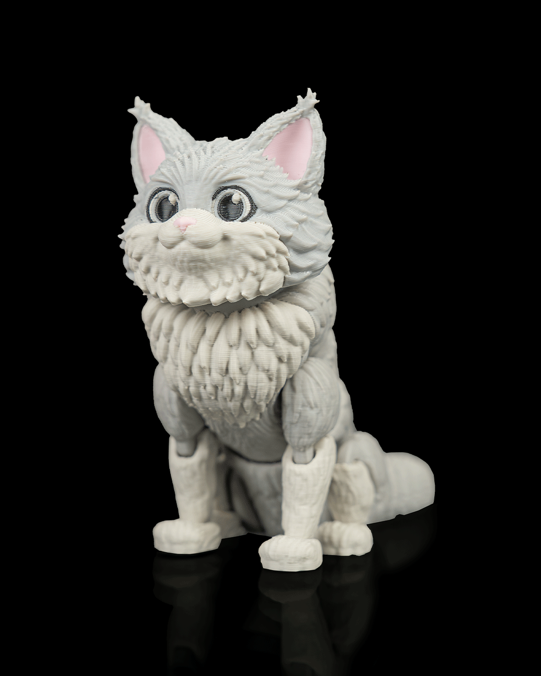 Chester, the Maine Coon - Image 6