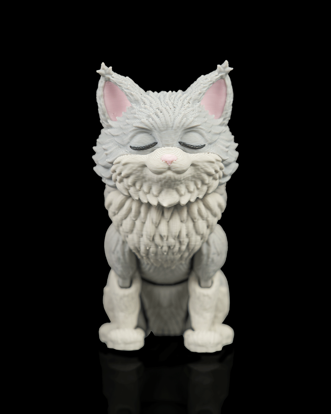 Chester, the Maine Coon - Image 7