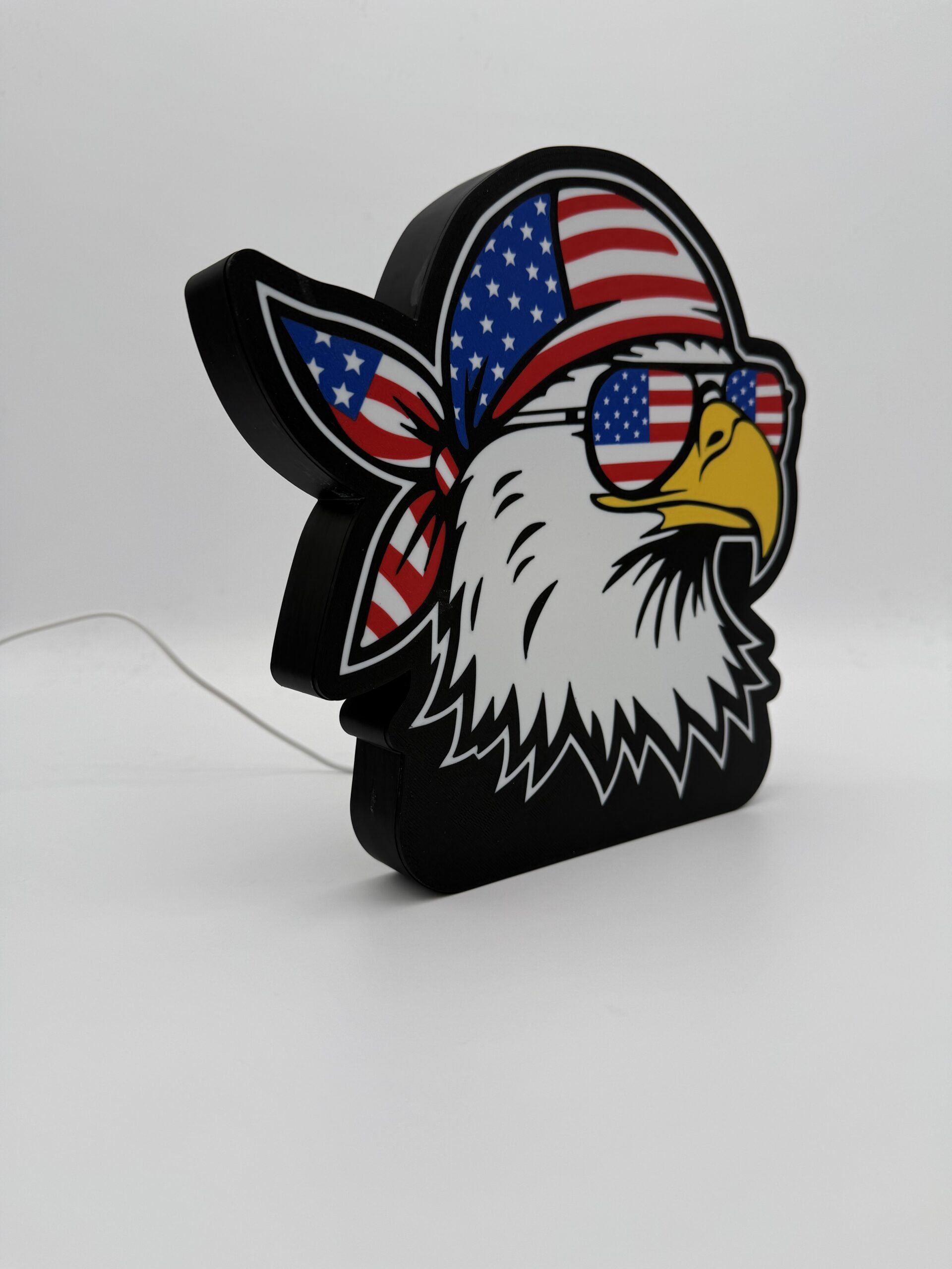 Eagle Light Box - Image 5