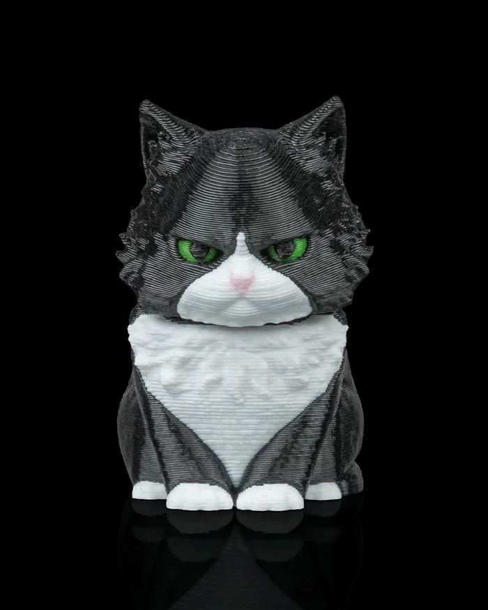 Launch Pack - Maine Coon - Image 10
