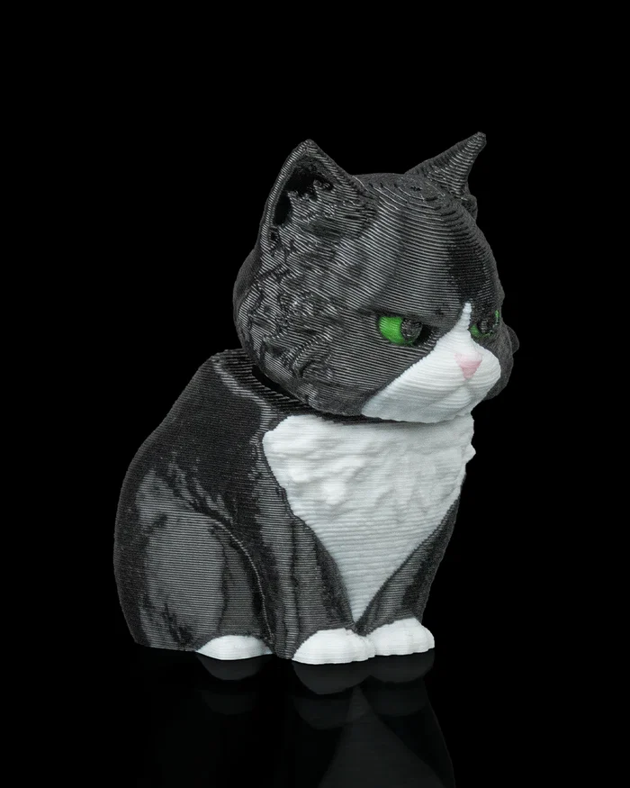 Launch Pack - Maine Coon - Image 7